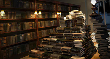 Carlos García Beltrán. Visualizador 3D. Carlos García Beltrán. Visualizador 3D.